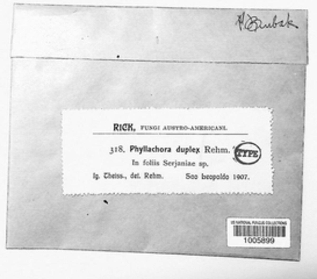Phyllachora duplex image